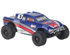 Team Losi Micro Desert Truck