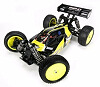 Team Losi Mini 8IGHT