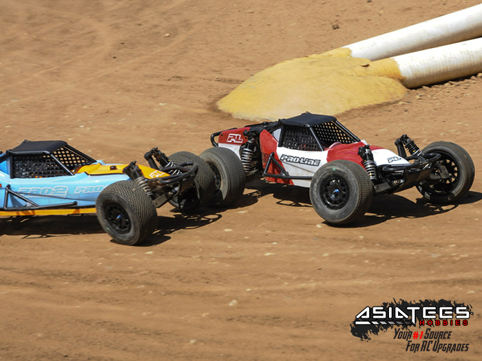 proline short course buggy