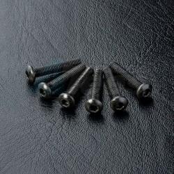 MST RMX 2.0 Round Head Screw M3X16 (6)  by MST