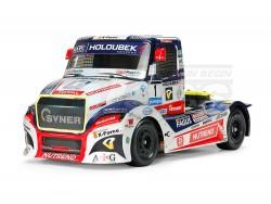 Tamiya TT-01 Type E 1/14 RC Buggyra Racing Fat Fox TT01 Type-E by Tamiya