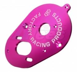 3Racing Cactus Motor Plate by 3Racing