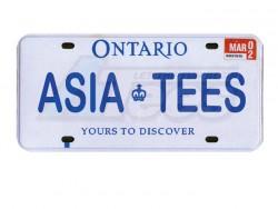 Miscellaneous All Realistic Ontario Licence Plate (ASIATEES) For RC Cars by ATees